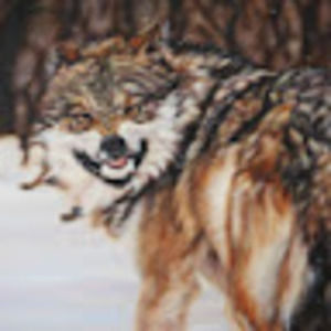 Meet your Posher, Sharon